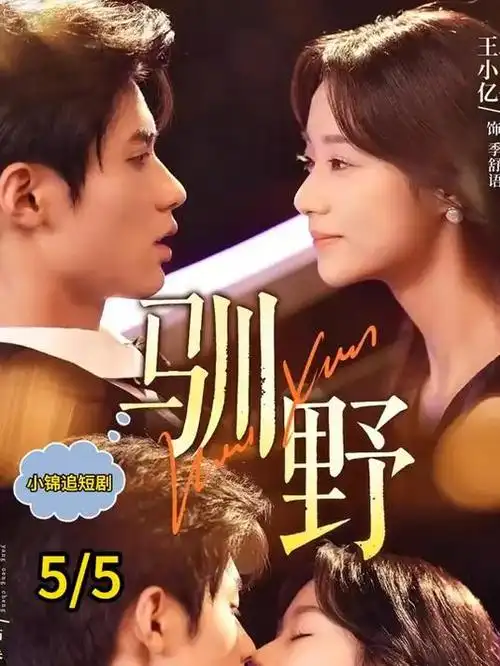 山河故人书 古装电视剧全集